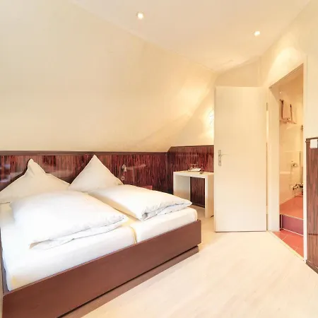 Parkhotel Wienburg Muenster מלון