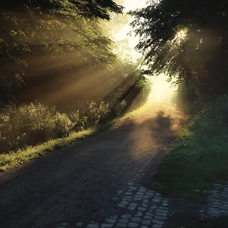 Parkhotel Wienburg 2*