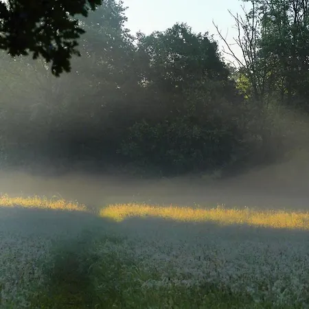 Parkhotel Wienburg Отель