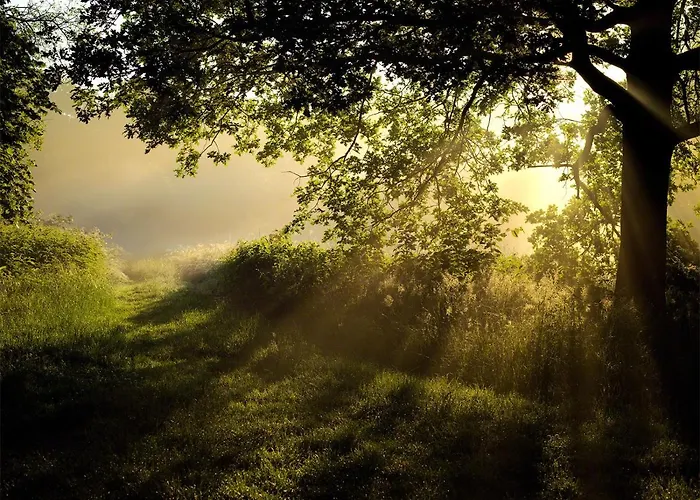 Parkhotel Wienburg 2* מונסטר