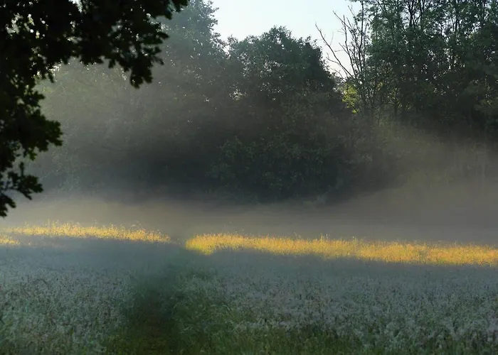 Parkhotel Wienburg ホテル